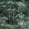 Spice - Spice (CD)