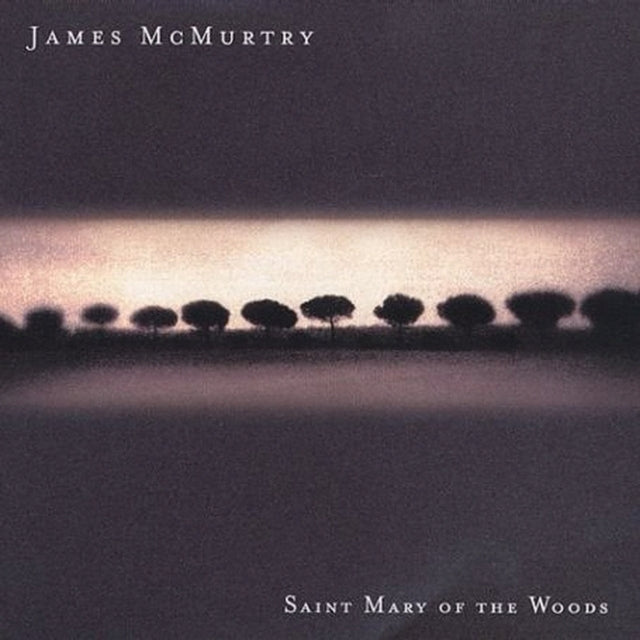 James McMurtry - Saint Mary Of Woods (CD)
