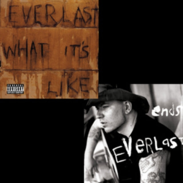 Everlast - What It's Like/Ends (Vinyl Single) (US Import)