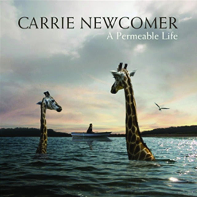 Carrie Newcomer - Permeable Life (Vinyl) (US Import)