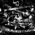 Amputator & Deiphago - Amputator & Deiphago (Vinyl) (US Import)