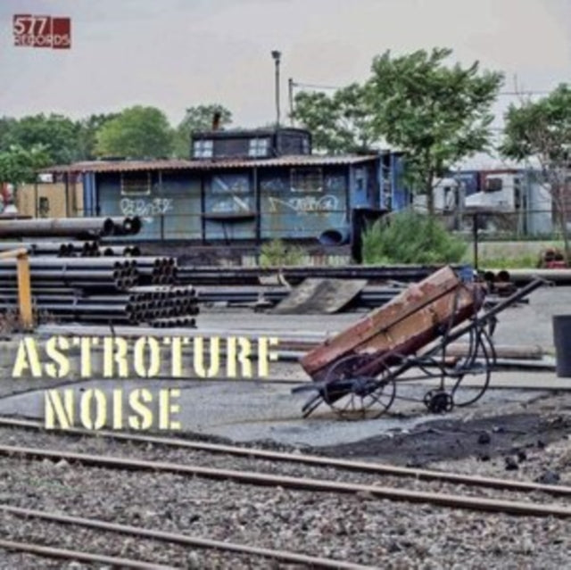 Astroturf Noise - Astroturf Noise (DL Card) (Vinyl) (US Import)