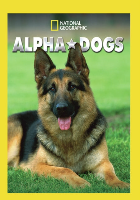 Alpha Dogs (DVD) (Region 1 US Import)
