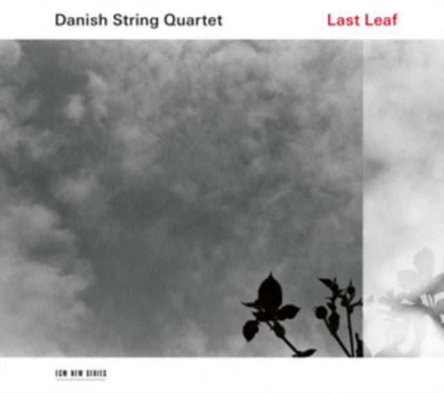 Danish String Quartet - Last Leaf (CD)