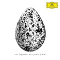 Snorri Hallgrimsson - Importance Of Birds (EP) (Vinyl) (US Import)