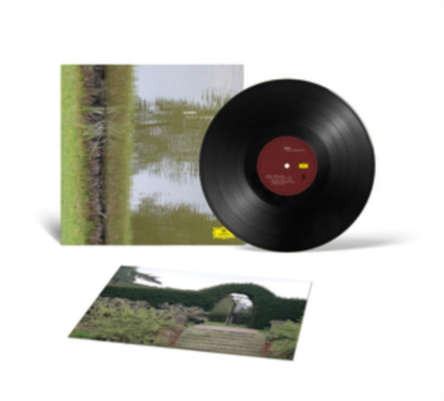 Hildur Guonadottir - Saman (Vinyl) (US Import)