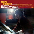 Various Artists - Here Today: The Song Of Brian Wilson / Various (CD)