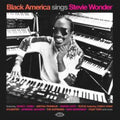 Various Artists - Black America Sings Stevie Wonder (CD)