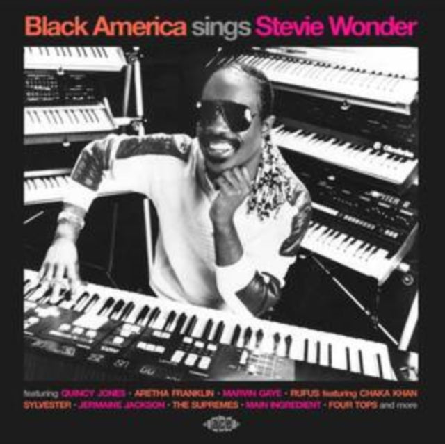 Various Artists - Black America Sings Stevie Wonder (CD)
