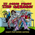 Various Artists - It Came From The Garage: Nuggets From / Various (CD)