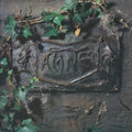 Damned - Black Album (Vinyl) (US Import)