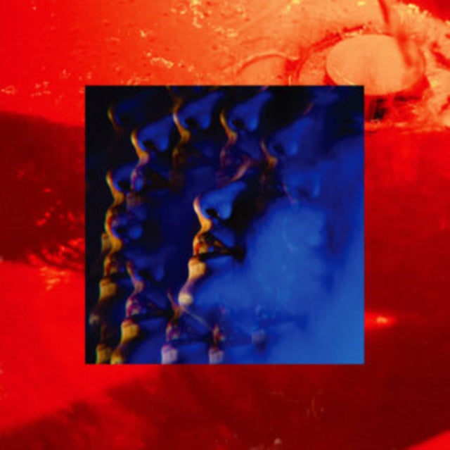 Little Hag - Leash (X) (Vinyl) (US Import)
