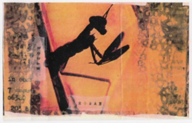 Rodan - Hat Factory '93 (Vinyl) (US Import)