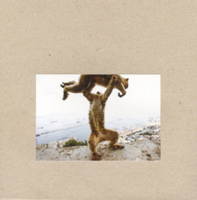 Shellac - Dude Incredible (Vinyl) (US Import)