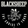 Blacksheep - Choice Is Yours (EP) (Vinyl) (US Import)