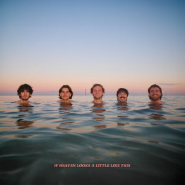 Delights - If Heaven Looks A Little Like This (CD)