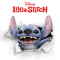 Keali'I Ho'Omalu,Mark - Lilo & Stitch OST (Vinyl) (US Import)