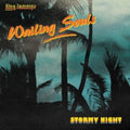 Wailing Souls - Stormy Night (CD)