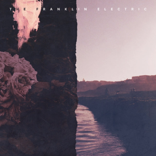 Franklin Electric - In Your Head/In Your Heart (Vinyl) (US Import)