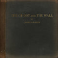 Joshua Radin - Ghost & The Wall (Vinyl) (US Import)
