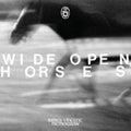James Vincent McMorrow - Wide Open Horses (Digi) (CD)