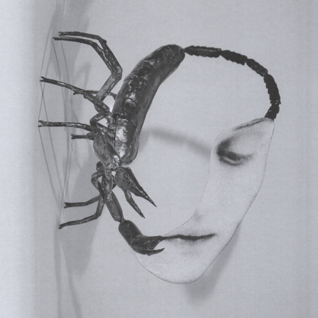 Tortoise - Touch (CD)