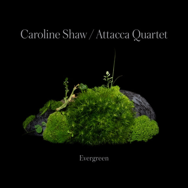 Caroline Shaw & Attacca Quartet - Caroline Shaw: Evergreen (CD)