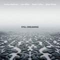 Joshua Redman - Still Dreaming (CD)