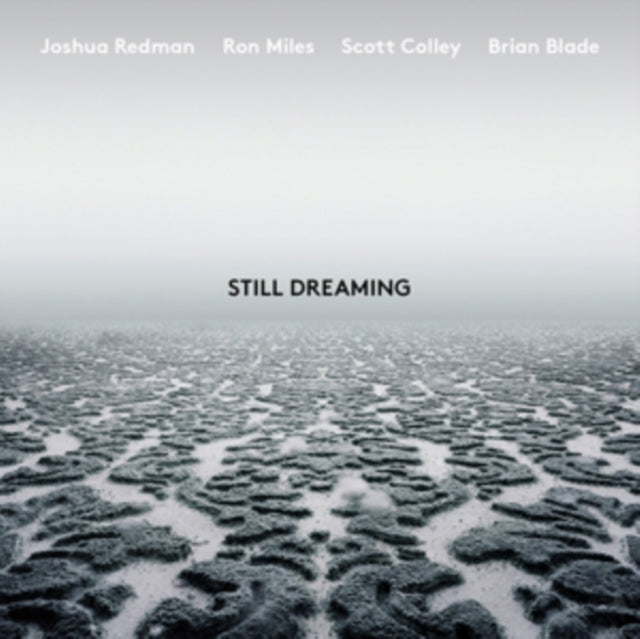 Joshua Redman - Still Dreaming (Vinyl) (US Import)