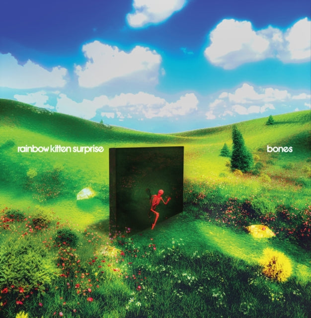 Rainbow Kitten Surprise - Bones (Banana Vinyl) (I) (Vinyl) (US Import)