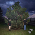 100 Gecs - 1000 Gecs (Vinyl) (US Import)