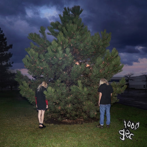 100 Gecs - 1000 Gecs (Vinyl) (US Import)