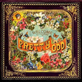 Panic! At The Disco - Pretty Odd (Vinyl) (US Import)
