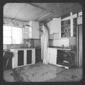 Vera Sola - Shades (Vinyl) (US Import)