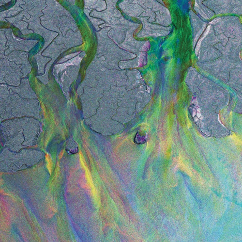 Alt-J - An Awesome Wave (Recycled Metallic Vinyl) (Syeor) (Vinyl) (US Import)