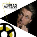 Brian Wilson - Playback: The Brian Wilson (CD)