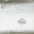 Genesis - Wind & Wuthering (Vinyl) (US Import)