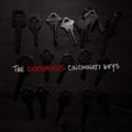 Dopamines - Hard Pass: Singles / Rarities 2006/2020 (Vinyl) (US Import)