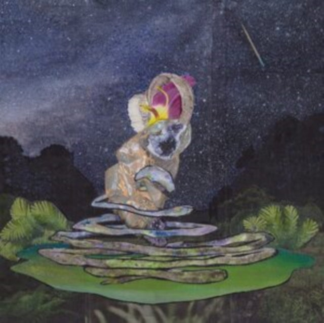 Lal - Meteors Could Come Down (Vinyl) (US Import)