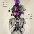 Goo Goo Dolls - Chaos In Bloom (Vinyl) (US Import)