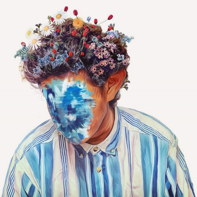 Hobo Johnson - Fall Of Hobo Johnson (Vinyl) (US Import)