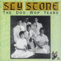 Sly Stone - Doo Wop Years (CD)