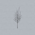 Low - Ones & Sixes (CD)