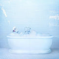 Frankie Cosmos - Vessel (Vinyl) (US Import)