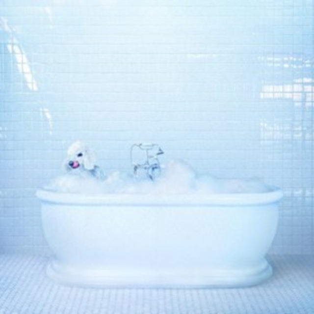 Frankie Cosmos - Vessel (Vinyl) (US Import)