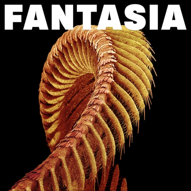 Slift - Fantasia (CD)