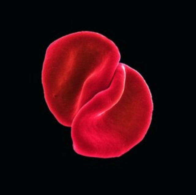 Peter Gabriel - Scratch My Back (CD)