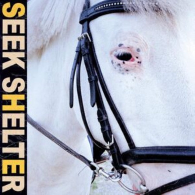 Iceage - Seek Shelter (Vinyl) (US Import)