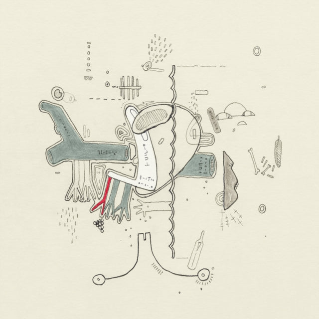 Tiny Changes - Celebration Of Frightened Rabbit's The Midnight Organ Fight (2LP) (Vinyl) (US Import)