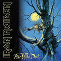 Iron Maiden - Fear Of The Dark (Vinyl) (US Import)